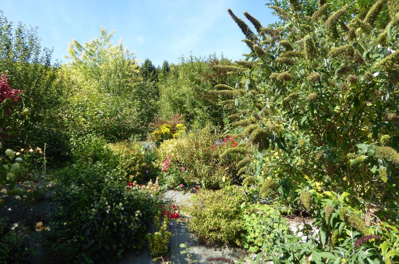 Dans Un Jardin Villa Apremont-la-Foret Екстериор снимка